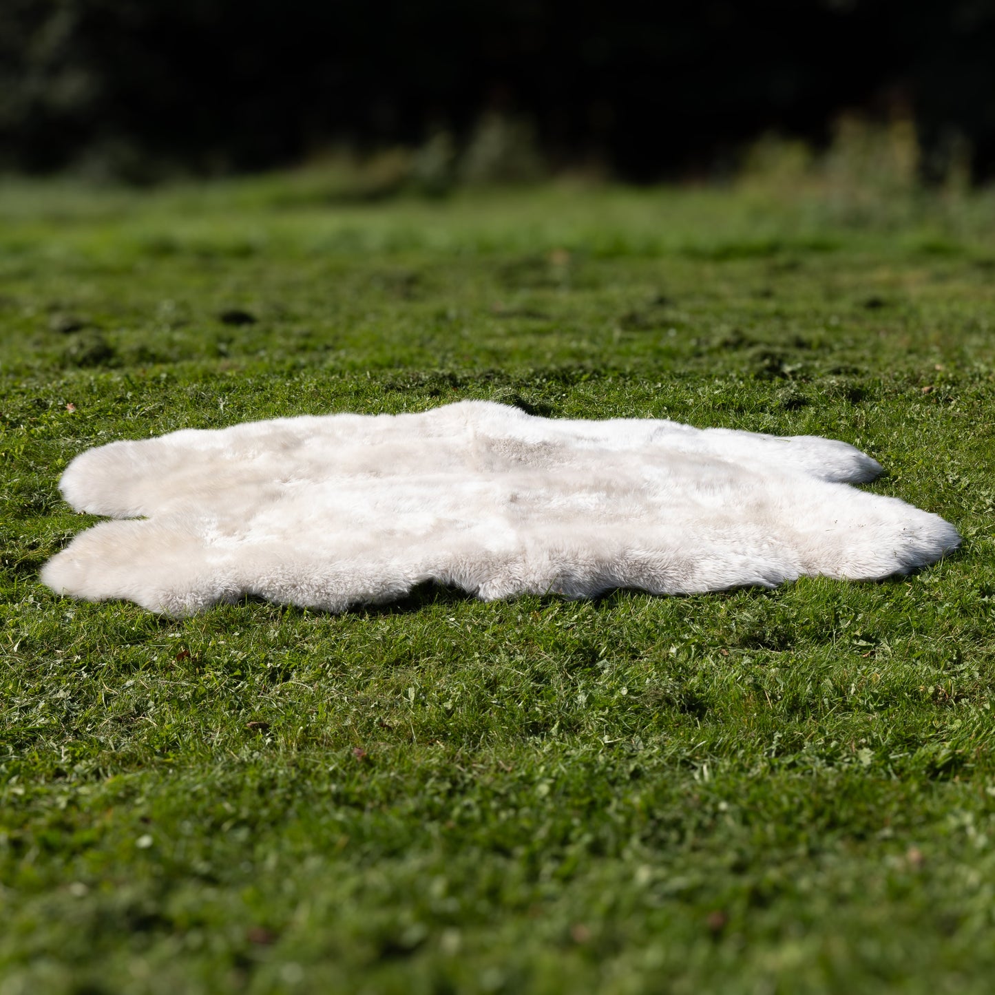 Sheepskin Rug (Various Sizes)